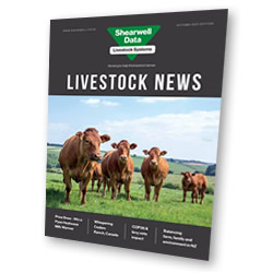 Shearwell Livestock News Magazine - Autumn 2020 Edition